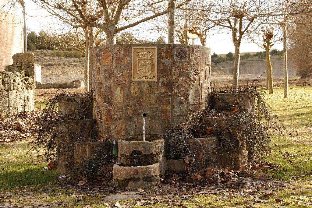 Fotografía de la galería de imágenes con id: 853